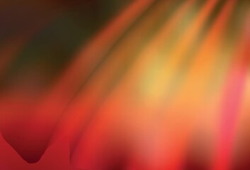 Light Red vector modern elegant layout.