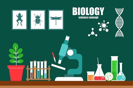Biology education concept in flat design style. Laboratory equipment of the school of biology. Vector illustration .