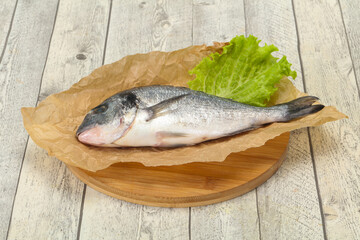 Raw Dorada fish  for cooking