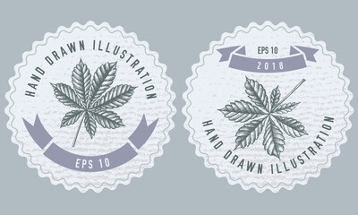 Monochrome labels design with illustration of horse chestnut