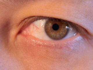 Fototapeta premium Eye macro detail, human eye close-up, macro shot, eyelashes, pupil. woman 35 years old. pink-green highlight. Shallow focus