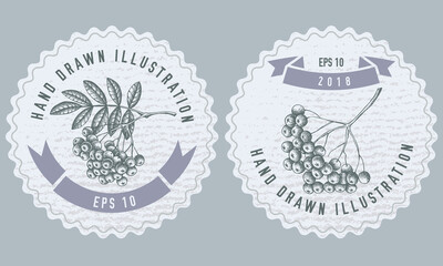 Monochrome labels design with illustration of rowan