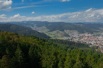 Fototapeta na wymiar Blick vom Urenkopfturm bei Haslach im Schwarzwald