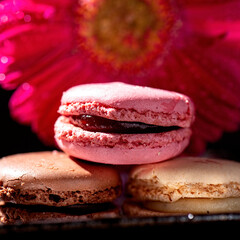 Colourful macaroons. Detailed closeup food macro background.