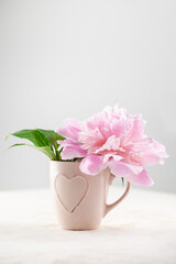 Pink peony Flowers in a cup on a bright background.