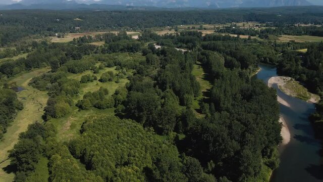 Drone Video of Natural Textures from Rural Environment with Forest Trees and Riverbed
