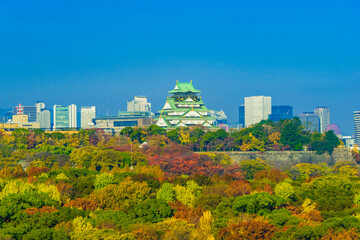 大阪城の紅葉