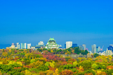 大阪城公園の紅葉と大阪城