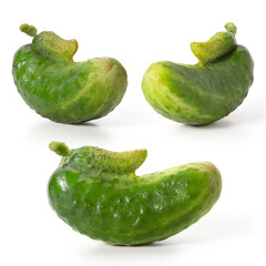 Unusual vegetables. Two fresh cucumbers have merged. Three projections. Full depth of field. With clipping path