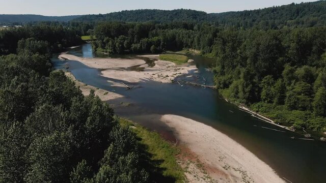 Lush Green Pacific Northwest Forest with Drone Flying Over River
