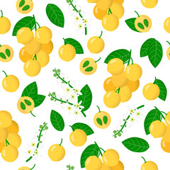 Vector cartoon seamless pattern with Lansium parasiticum or Langsat exotic fruits, flowers and leafs on white background