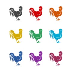 Rooster bird icon, color set