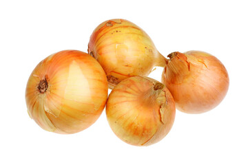 Big golden onion bulbs lie on table  isolated
