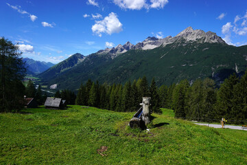 Fototapeta na wymiar Lechtal, Österreich, Tirol, Almwiesen bei der Stablalpe