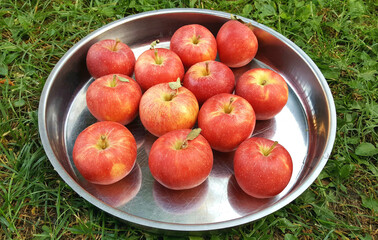 Red apples, ripe in a metal platter on grass