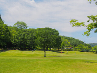 Fototapeta premium とてもきれいな岐阜の公園の青空と木々・芝生