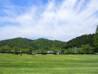 Fototapeta premium とてもきれいな岐阜の公園の青空と木々・芝生