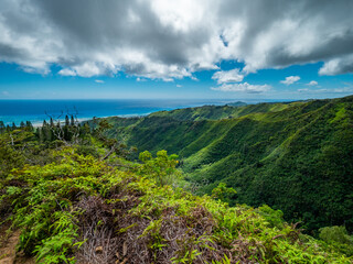 Blue sky over green mountains. Amazing view of the ocean. 
 Kuliouou Ridge Trail, Hawaii, Oahu