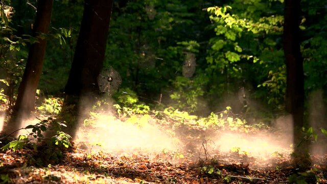 Fast ride of rc monster truck in a forest. Side view miniature jeep model rides fast in the woods and making dust smoke.