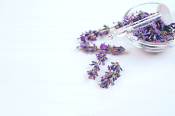 Dropper with lavender essential oil and lavender flowers around it on white background with copyspace. Beauty treatments and aromatherapy concept