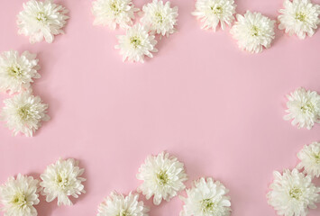 Spring composition with white daisy flowers on pink background. Flat lay, copy space.