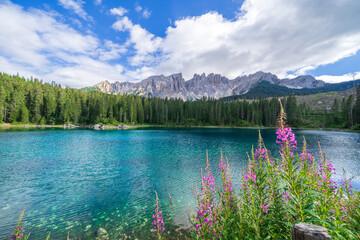 Carezza lake with purple flowers (Lago di Carezza)Dolomites, Alps. South Tyrol. Italy

