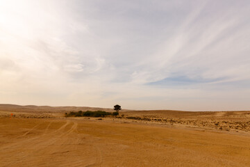 Fototapeta na wymiar Wide panorama of Negev desert