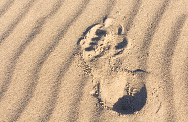 sand on the beach on the Polish sea
