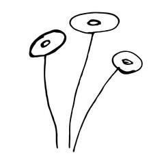 Plant branches and leaves. Hand drawn doodle illustration isolated on white background. Vector elements. Natural template for autumn design, print, greeting card, sticker pack