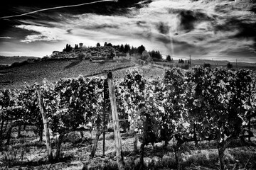 Obraz premium old farm in the countryside