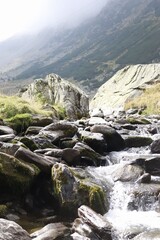 mountain river in the mountains