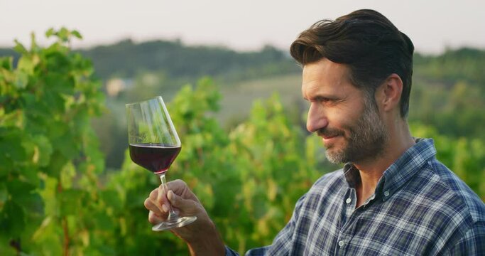 Authentic close up shot of happy successful male winemaker is tasting a flavor and checking red wine quality poured in transparent glass on vineyards background at sunset.