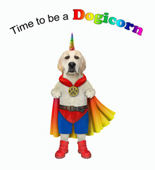 A dog in a colored cloak, boots and shorts has a rainbow horn. Time to be a dogicorn. White background. Isolated.