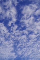 冬の澄んだ青空に広がる白く柔らかな巻雲		            