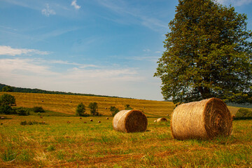 Czeremcha, Poland, Little Beskid, fields