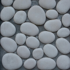 wall texture embedded with smooth white pebbles, background for the design