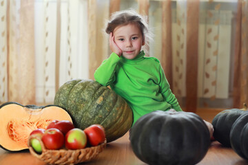 Little child choose a pumpkin at autumn. Child sitting on giant pumpkin. Pumpkin is traditional vegetable used on American holidays - Halloween and Thanksgiving Day.