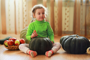 Fototapeta premium Little child choose a pumpkin at autumn. Child sitting on giant pumpkin. Pumpkin is traditional vegetable used on American holidays - Halloween and Thanksgiving Day.