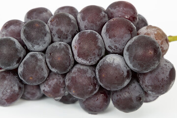 purple grape and white background