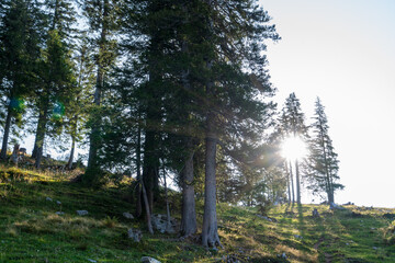 Wildhuser Schafberg in der Ostschweiz