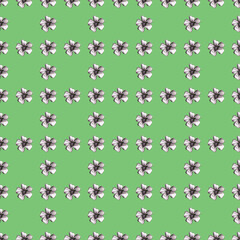 Seamless Pattern with Hand-Drawn Flower. Background with Thin-leaved Marigolds for Print, Design, Holiday, Wedding and Birthday Card.