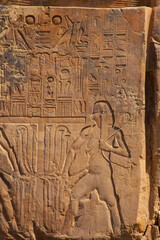Colosos de Mennon, Luxor, Valle del Nilo, Egipto