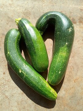 Naklejki Unusual shaped green zucchini, zucchini heart, vegetarianism concept  