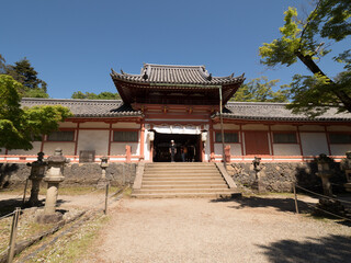 Santuario Kasuga Taisha, en Nara, Japón