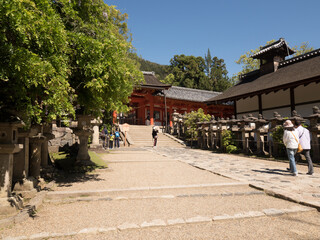 Fototapeta premium Santuario Kasuga Taisha, en Nara, Japón