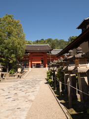 Fototapeta premium Santuario Kasuga Taisha, en Nara, Japón