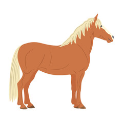The red horse is isolated on the white background.