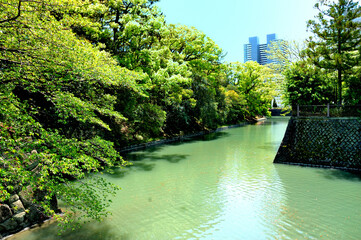 駿府城のお濠