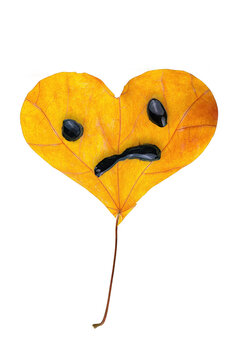 Heart shaped autumn leaf with painted angry face, isolated on white background