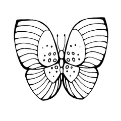 The Butterfly logo. The beautiful Graphic Butterfly isolated on a white background.